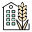 Packaged in a facility with wheat